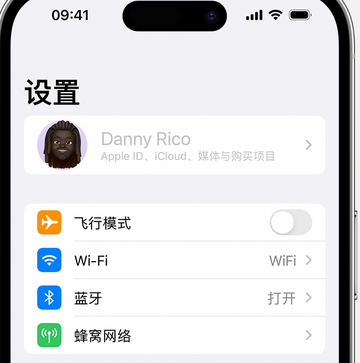溧阳appleID维修服务iPhone设置中Apple ID显示为灰色无法使用