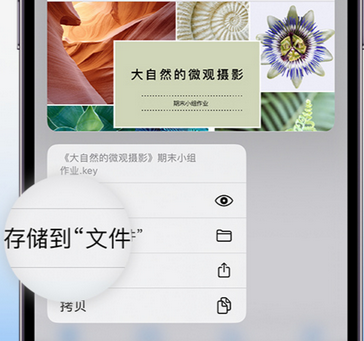 溧阳apple维修中心分享iPhone文件应用中存储和找到下载文件