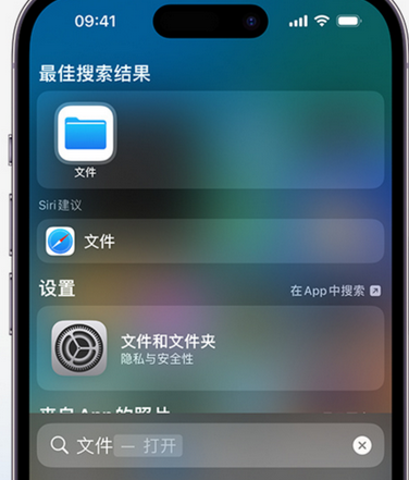 溧阳apple维修中心分享iPhone文件应用中存储和找到下载文件