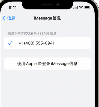 溧阳apple维修iPhone上无法正常发送iMessage信息 