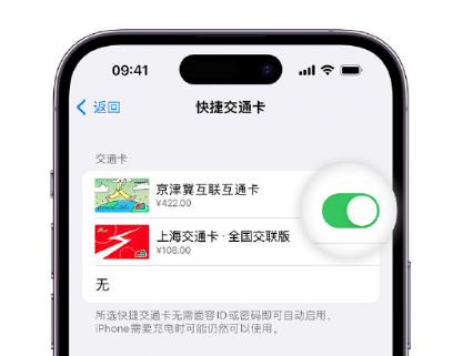 溧阳apple维修点分享iPhone上更换Apple Pay快捷交通卡手绘卡面 