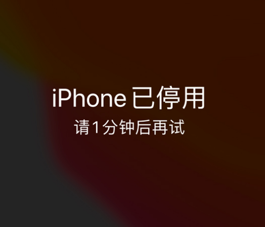 溧阳苹果手机维修分享:iPhone 显示“不可用”或“已停用”怎么办？还能保留数据吗？ 