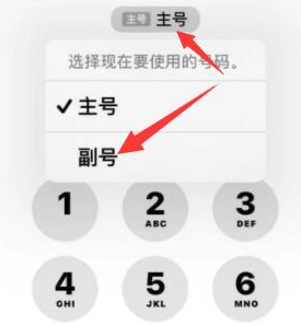 溧阳苹果14维修店分享iPhone 14 Pro Max使用副卡打电话的方法 