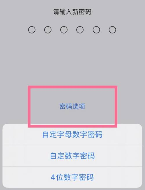 溧阳苹果14维修分享iPhone 14plus设置密码的方法 