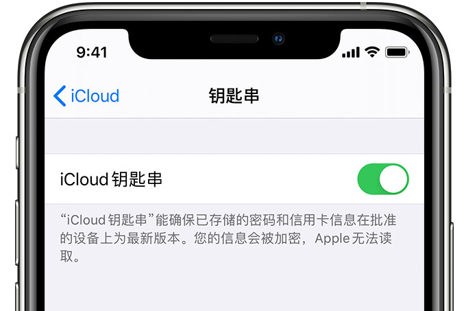 溧阳苹果手机维修分享在 iPhone 上开启 iCloud 钥匙串之后会储存哪些信息 