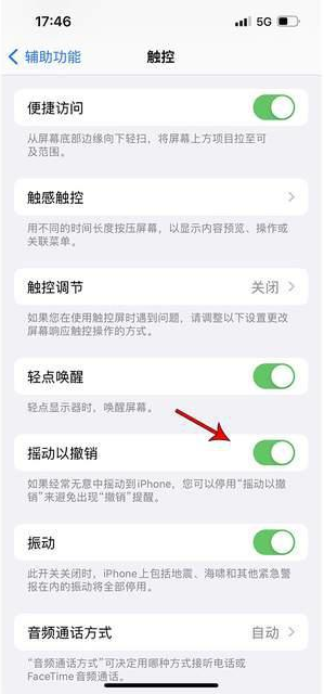 溧阳苹果手机维修分享iPhone手机如何设置摇一摇删除文字 